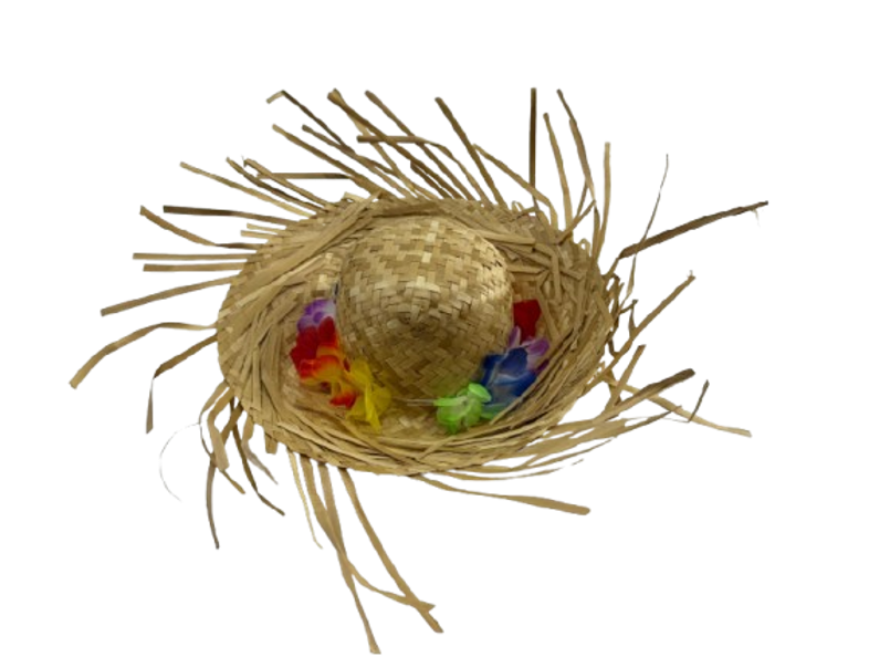Sombrero Hawaiano de Paja - Image 2