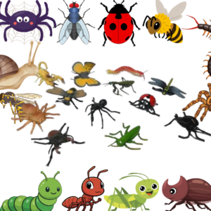 Set de Insectos x12 Piezas