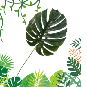 Hoja Tropical Decorativa