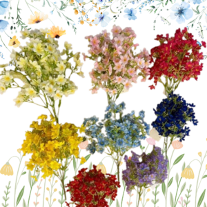 Ramo de 100 Flores